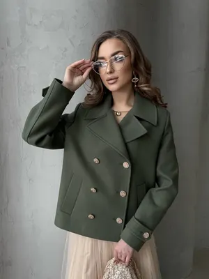 Модель 241